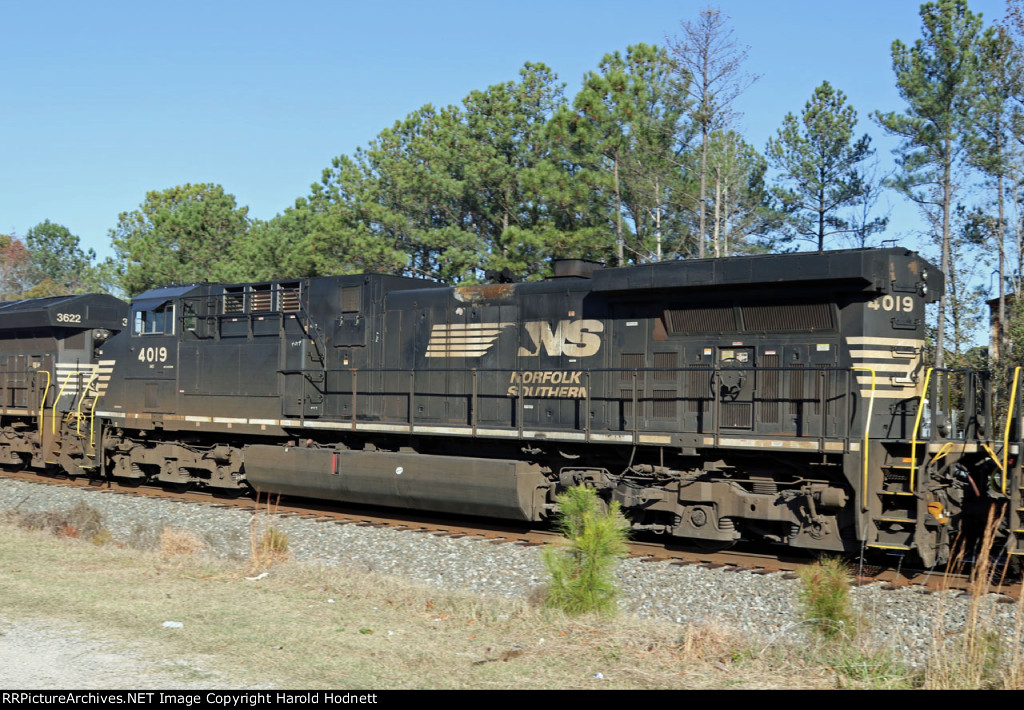 NS 4019